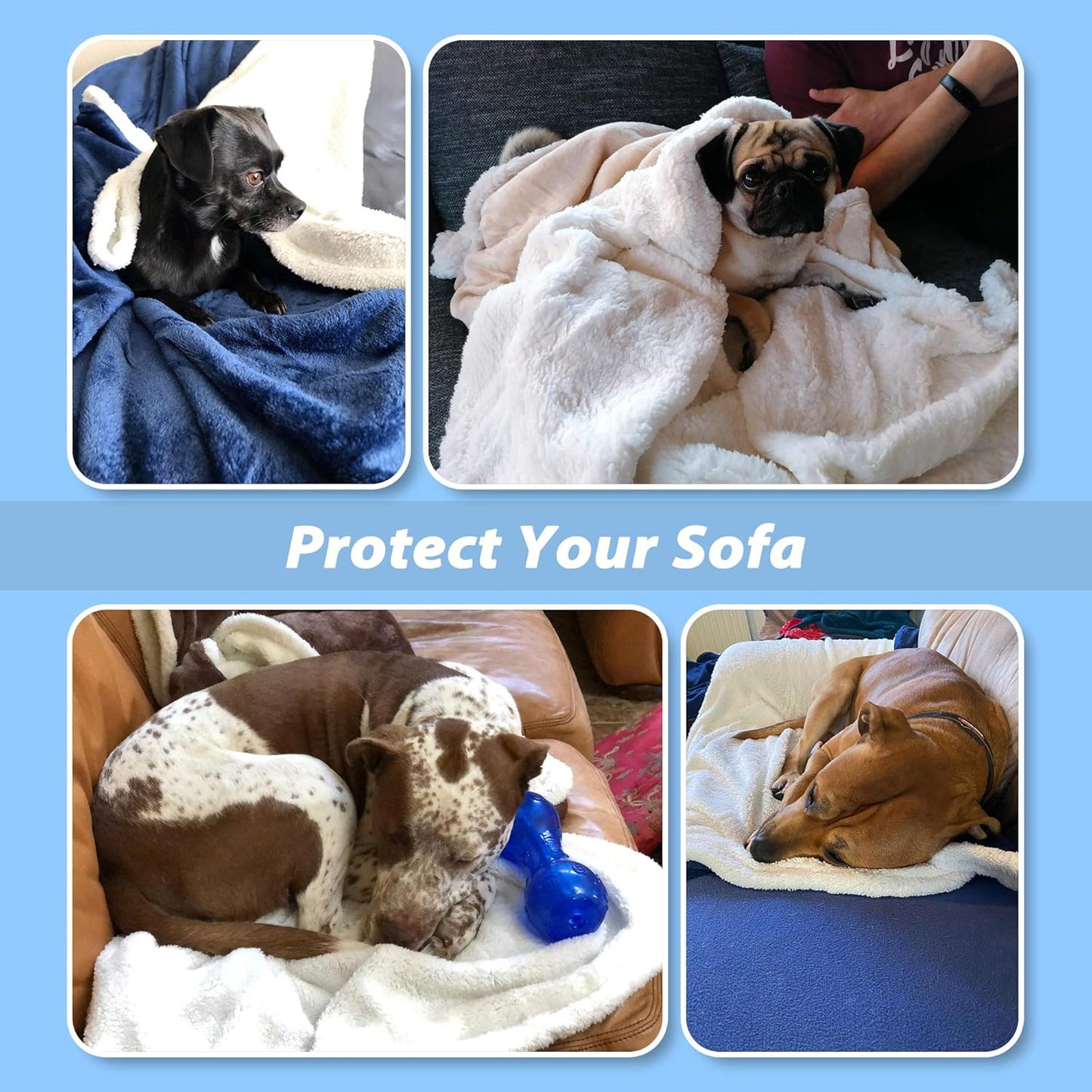 Dog Blankets for Large Dogs, Soft Fluffy Fleece Pet Blankets for Couch, Sofa, Dog Beds, Car Seats, Creat, Washable, 50X60 Inches, Black